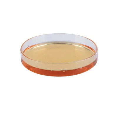 Hydroxypropyltrimonium Modified Proteins Hydrolyzed Wheat Protein Pure Natural Modified Proteins Pure Natural
